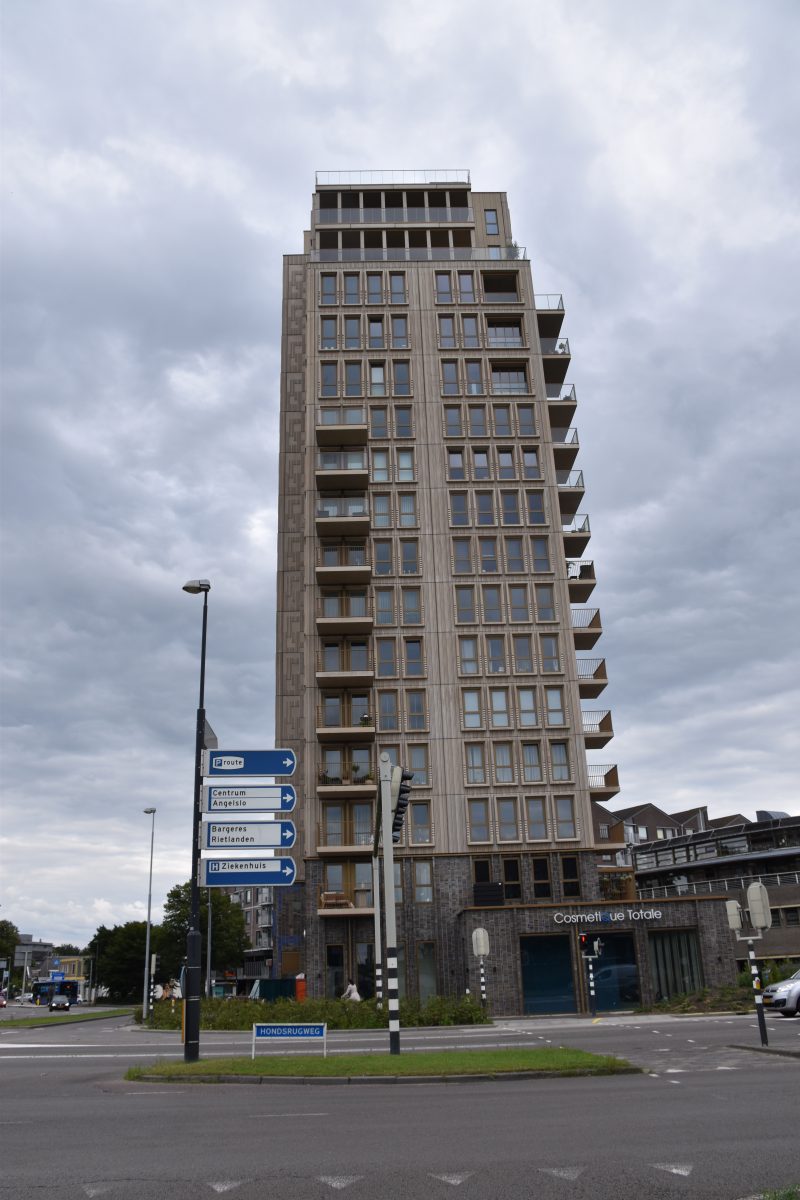 Hondsrugtoren Emmen, Flat
